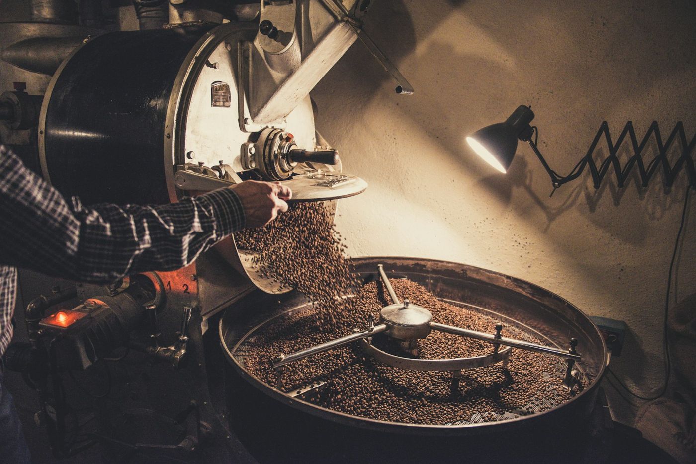 A roaster pours freshly roasted beans into a drum roaster's cooling tray